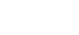 Plexus